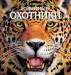 Книга Животные-охотники