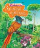 Книга Загадки природы