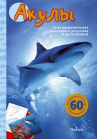 Книга Акулы