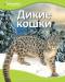 Книга Дикие кошки