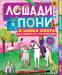 Книга Лошади и пони