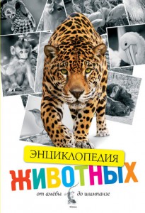 Книга Животные. От амёбы до шимпанзе