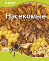 Книга Насекомые