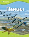 Книга Птицы