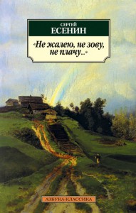 Книга Не жалею, не зову, не плачу...