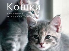Книга Кошки. Красивые и независимые