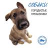 Книга Собаки. Породистые проказники
