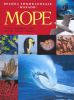 Книга Велика енциклопедія Море
