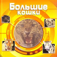 Книга Большие кошки (3D)