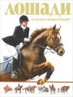 Книга Лошади. Большая энциклопедия
