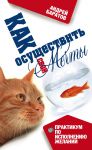 Книга Как осуществить свои мечты