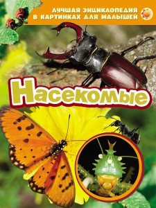 Книга Насекомые (ЛЭК)