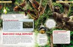 фото страниц Джунгли. Детская энциклопедия #3