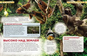 фото страниц Джунгли. Детская энциклопедия #3