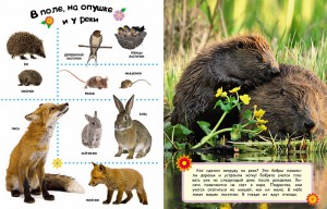 фото страниц Мамы и малыши #2