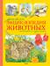 Книга Детская энциклопедия животных. Маленькие и пушистые