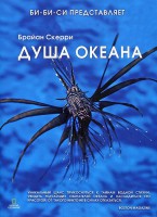 Книга Душа океана