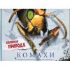 Книга Комахи. Сюрпризи природи