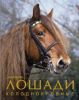 Книга Лошади холоднокровные