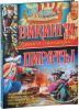 Книга Викинги. Пираты