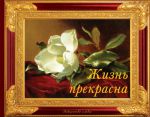 Книга Жизнь прекрасна