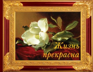 Книга Жизнь прекрасна