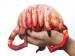 фото Half Life 2: Head Crab Plush #2