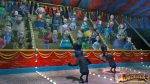 скриншот Madagascar 3 PS3 #3