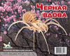 Пазл объемный 'Черная вдова'