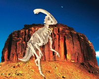 Пазл объемный 'Паразауролоф'