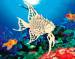 Пазл объемный 'Рыба-ангел'