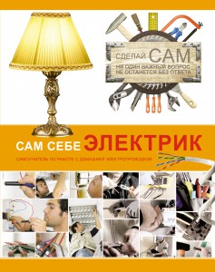 Книга Сам себе электрик