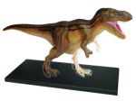 Объемная анатомическая модель 'Динозавр Тираннозавр'