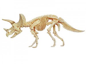 Объемная анатомическая модель 'Динозавр Трицератопс'