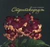 Книга Стрептокарпусы