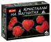 Книга Кристалы на магнитах красные