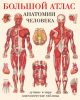Книга Большой атлас анатомии человека