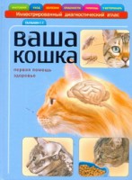 Книга Ваша кошка