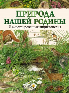 Книга Лондон. Карта + русско-английский разговорник