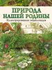 Книга Лондон. Карта + русско-английский разговорник