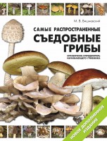 Книга Самые распространенные съедобные грибы: справочник-определитель начинающего грибника