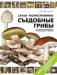Книга Самые распространенные съедобные грибы: справочник-определитель начинающего грибника