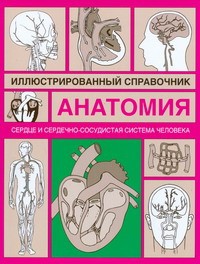 Книга Сердце и сердечно-сосудистая система