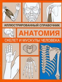 Книга Скелет и мускулы человека