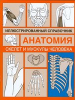 Книга Скелет и мускулы человека