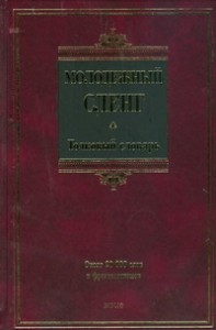 Книга Молодежный сленг