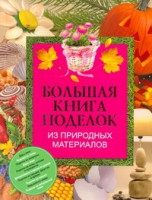 Книга Большая книга поделок из природных материалов