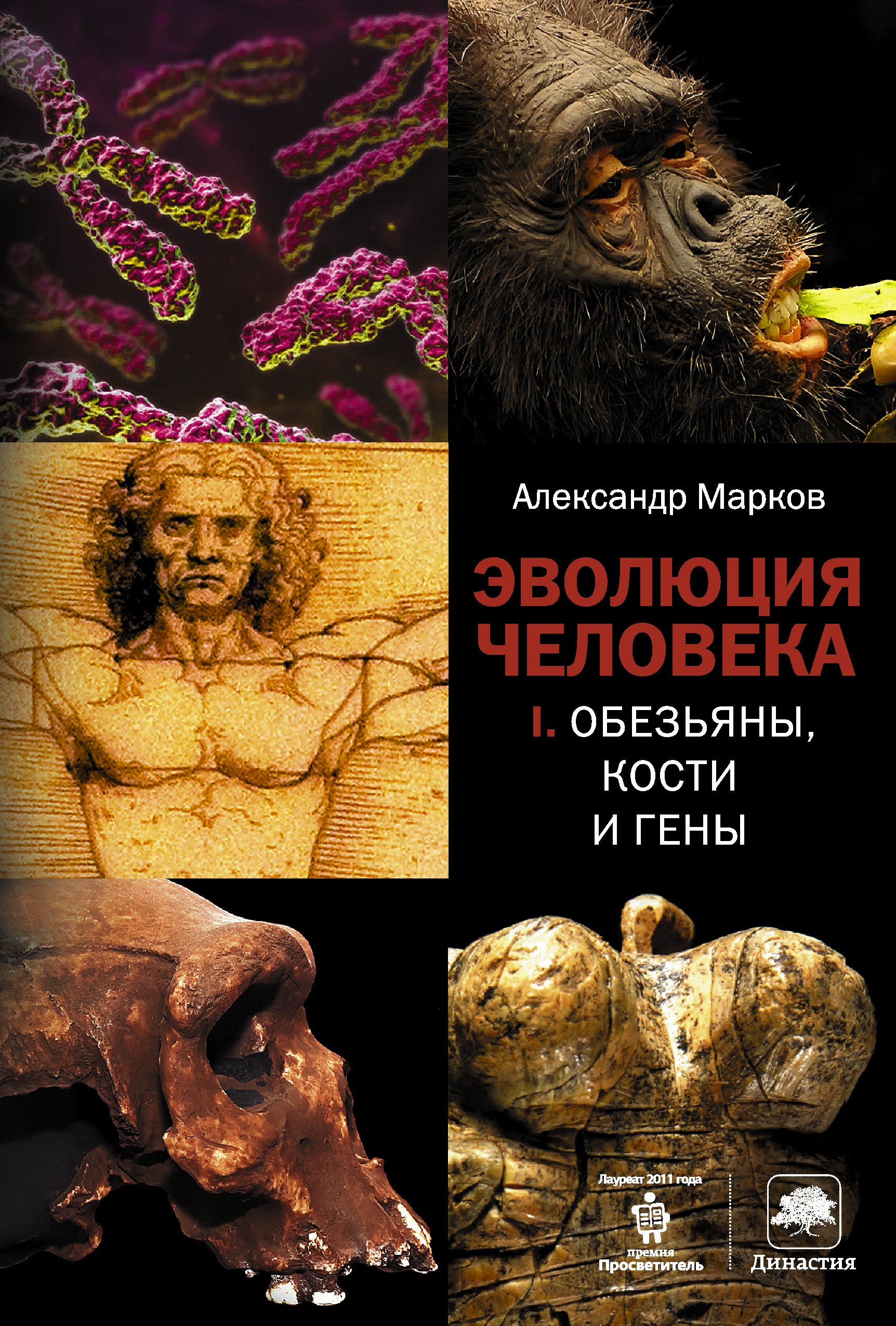 

Эволюция человека. Книга 1. Обезьяны, кости и гены