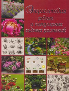 Книга Энциклопедия редких и популярных садовых растений