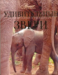 Книга Удивительные звери